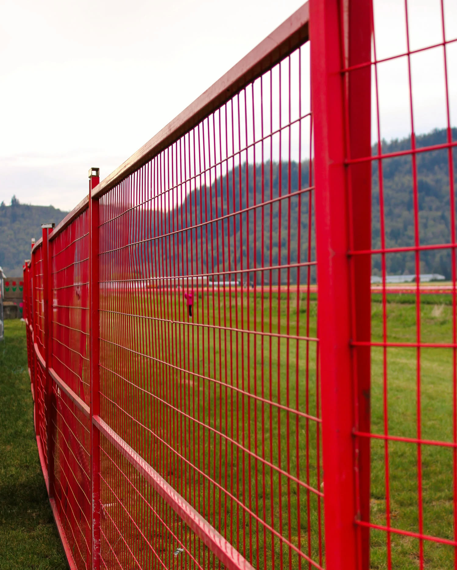 Clearline fence panels